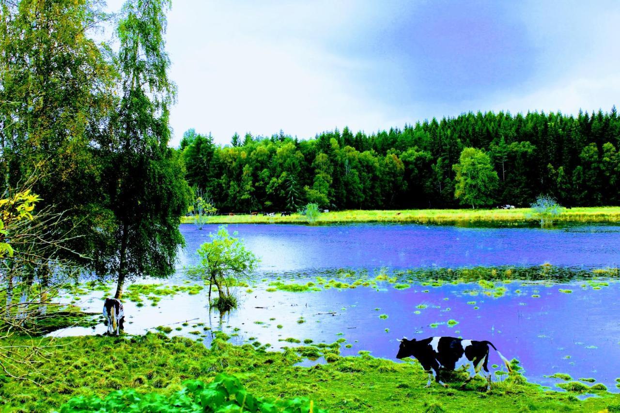 Affären Må Bra Bed and Breakfast Sunne Exteriör bild